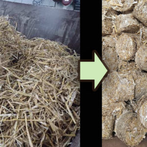 Briquettes from straw