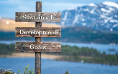 Embracing a truly sustainable future